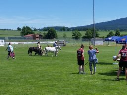 85 Jahre SV Neusorg - Sommerfest